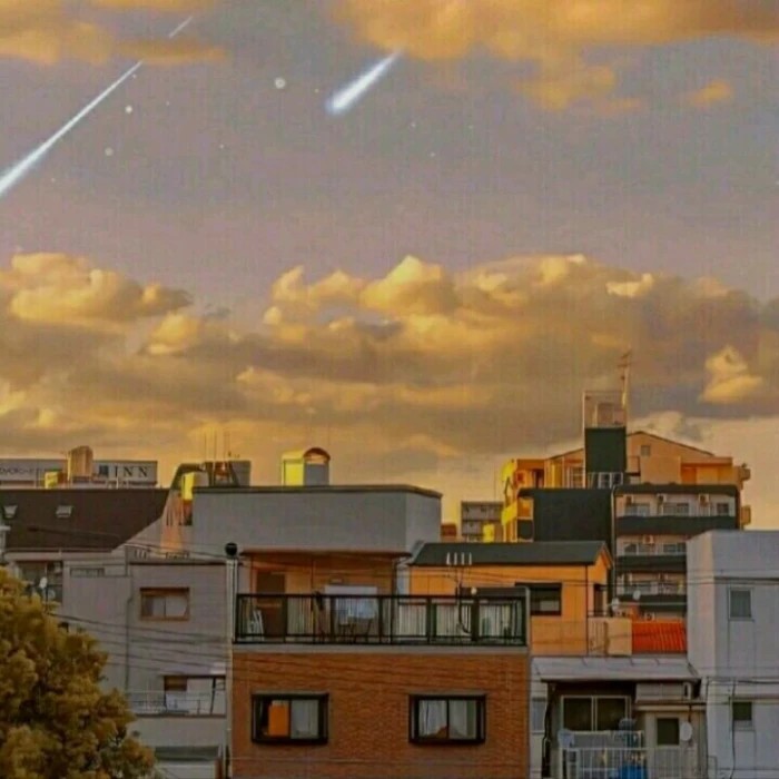 星辰生花.