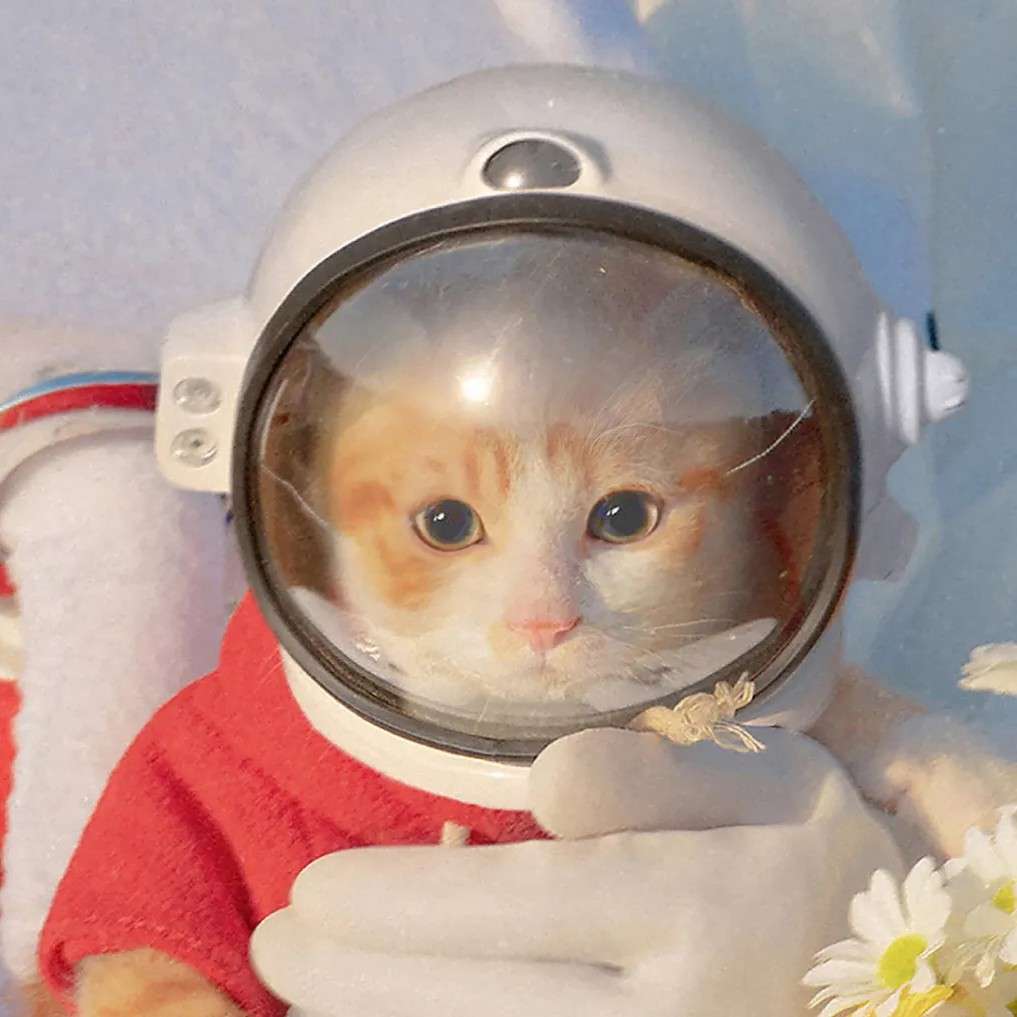 《云边有个小卖部》