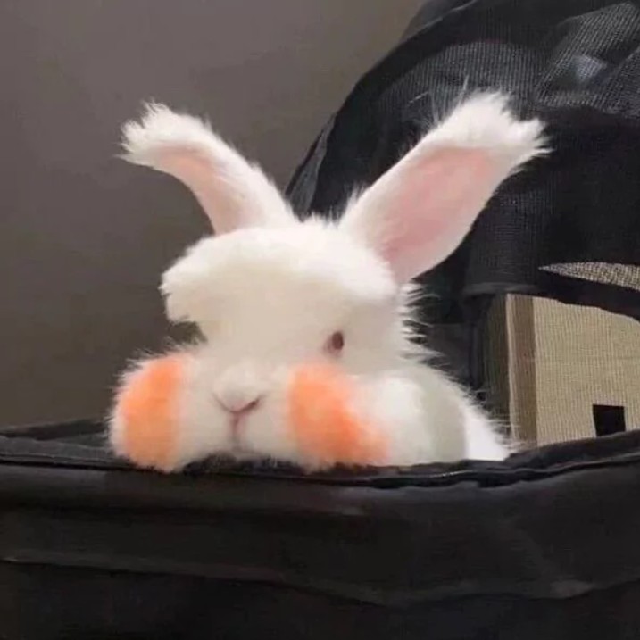 好好生活 慢慢相遇