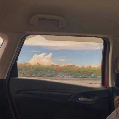 月亮走丢了.的专辑