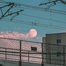 夏若的专辑