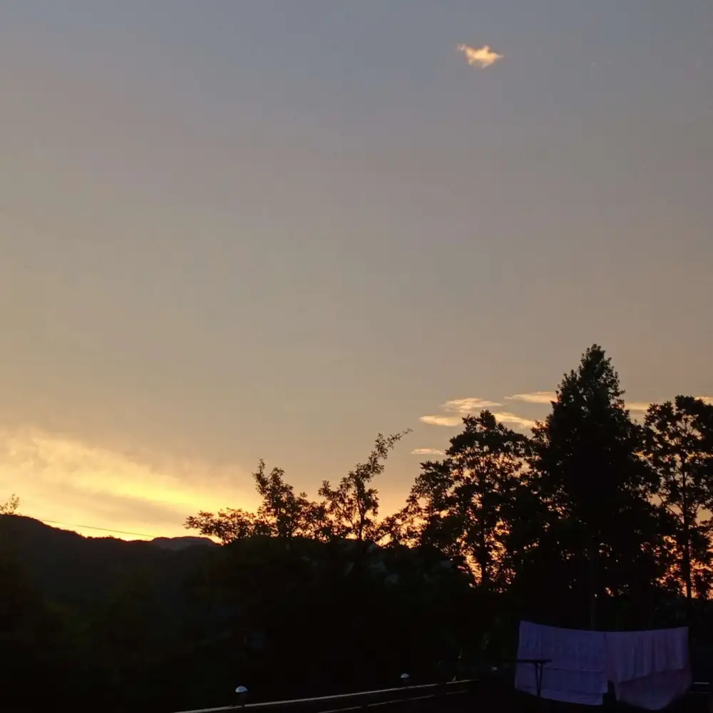 散落人间的中国式浪漫。