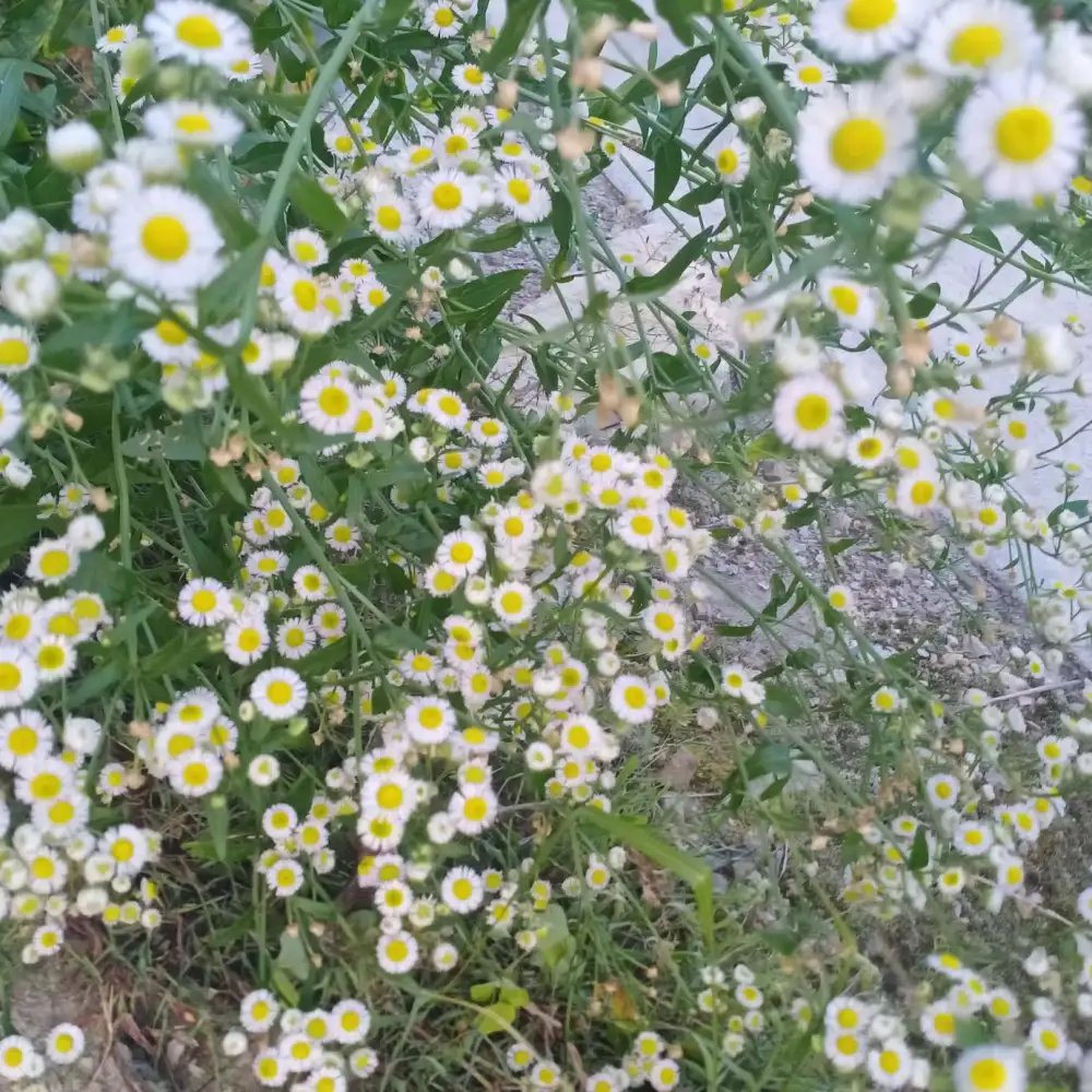 你要写___,就不能只写___