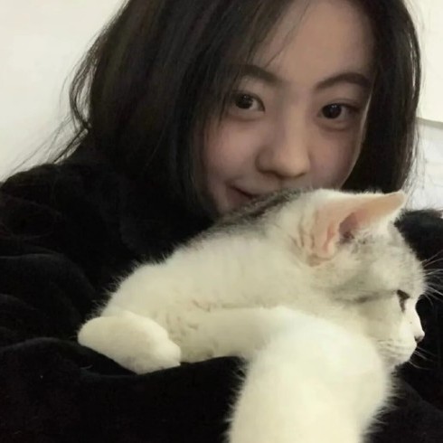 加菲猫、的专辑