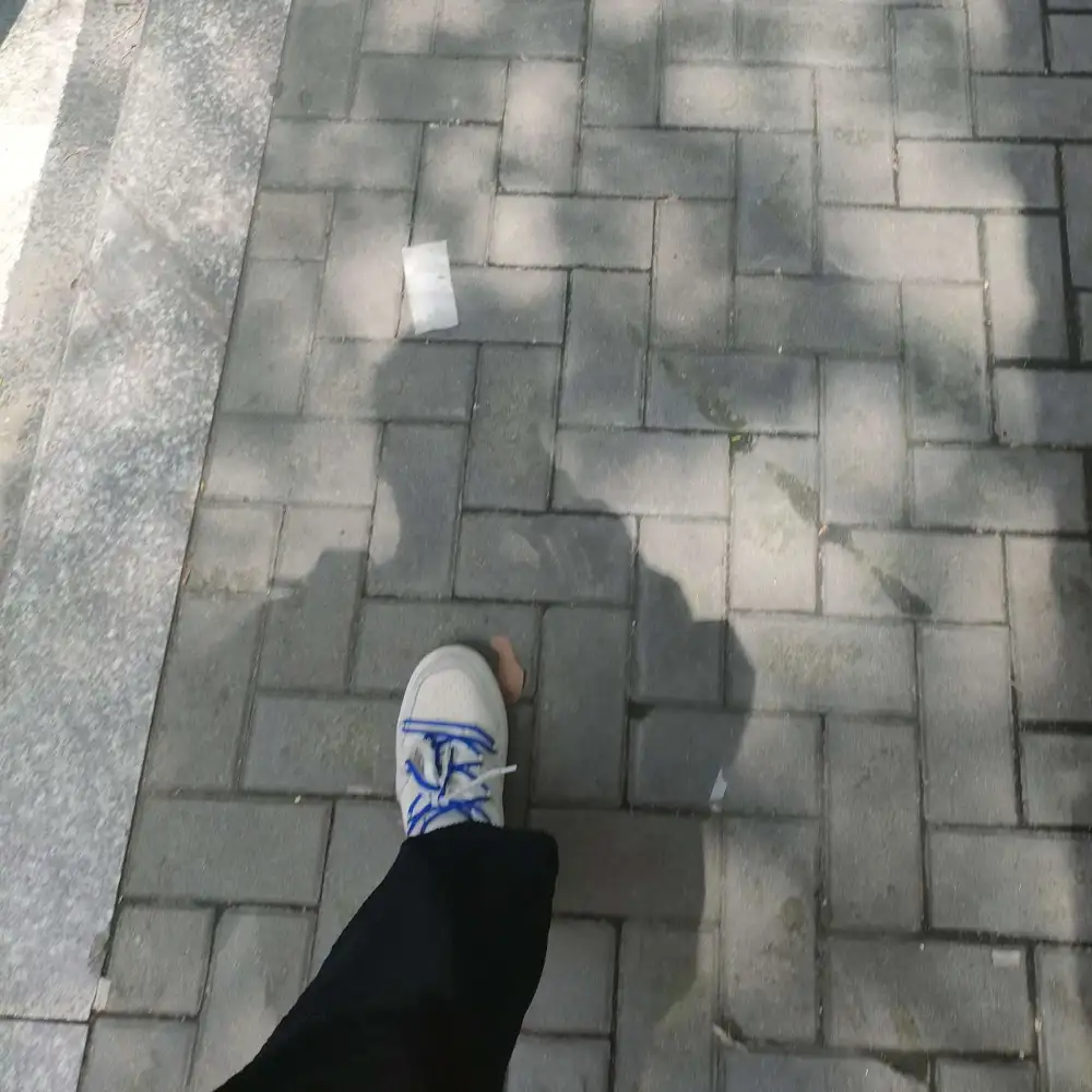 我的17岁