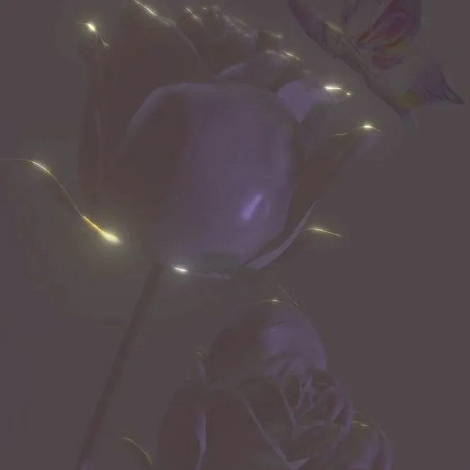 星座