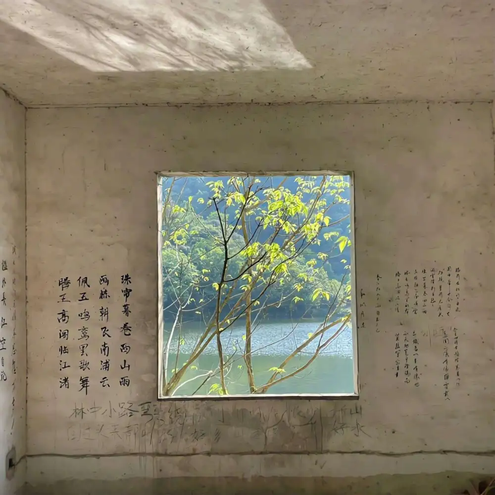 影