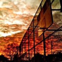 用篮球表达心情