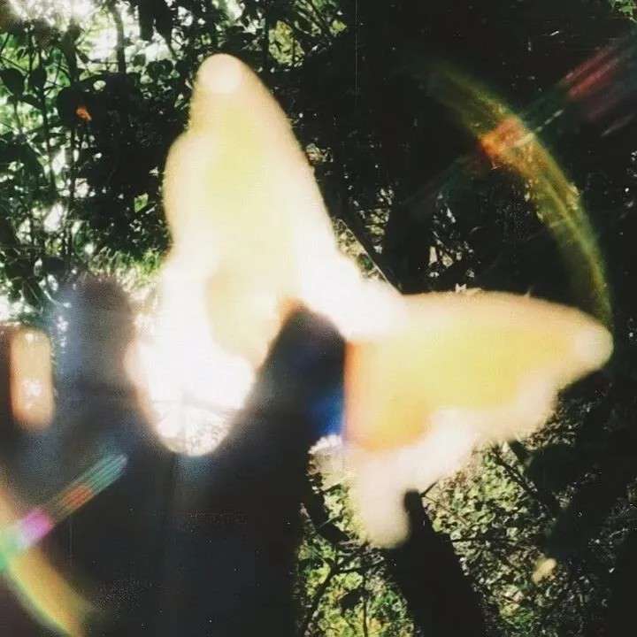 关于“青春”的杂记日志