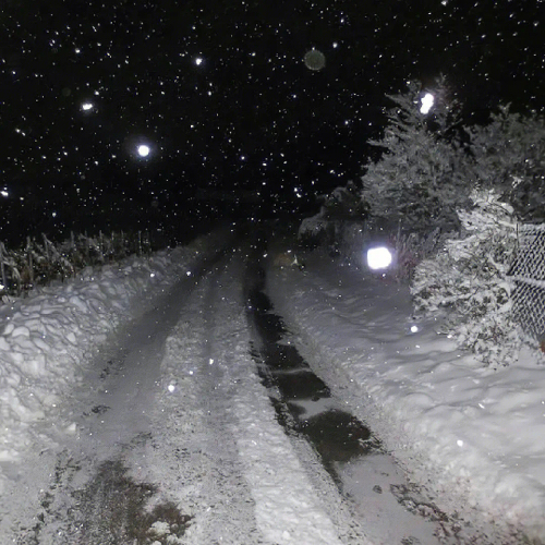 一下子就戳中泪点的文案