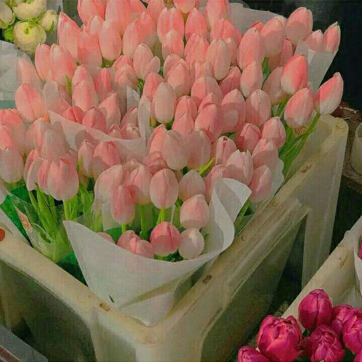 “还要多远才能走进你的心”