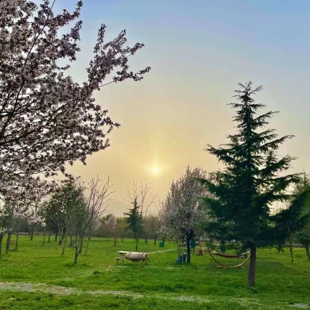 ♂和春日的约会♀