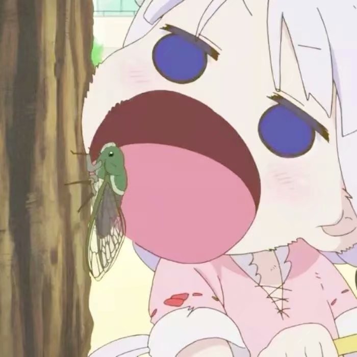 不是同一片海域