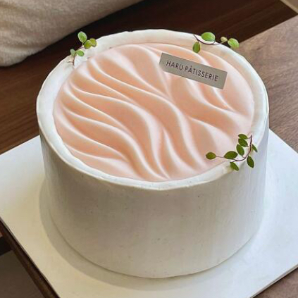 生日｜氛围感拉满🌌🏔🥂