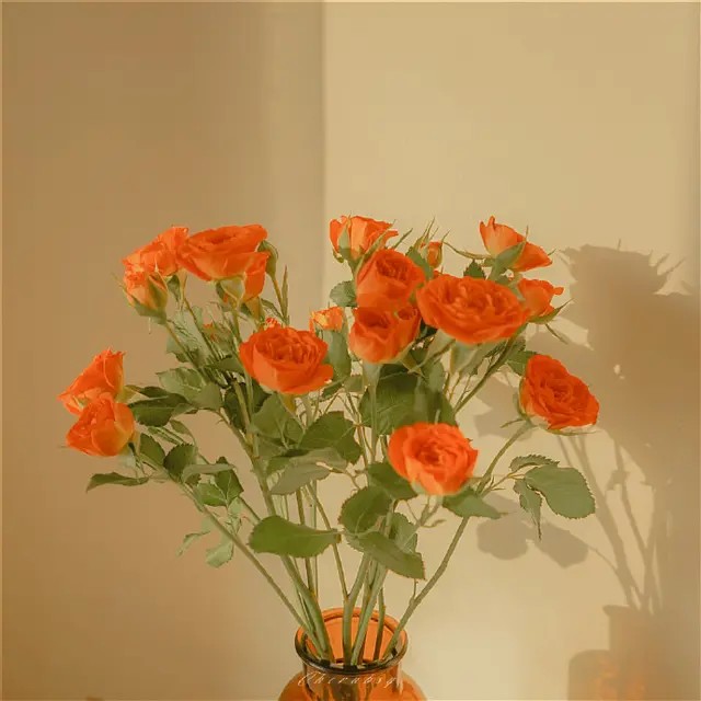 岁月很长，有你很美