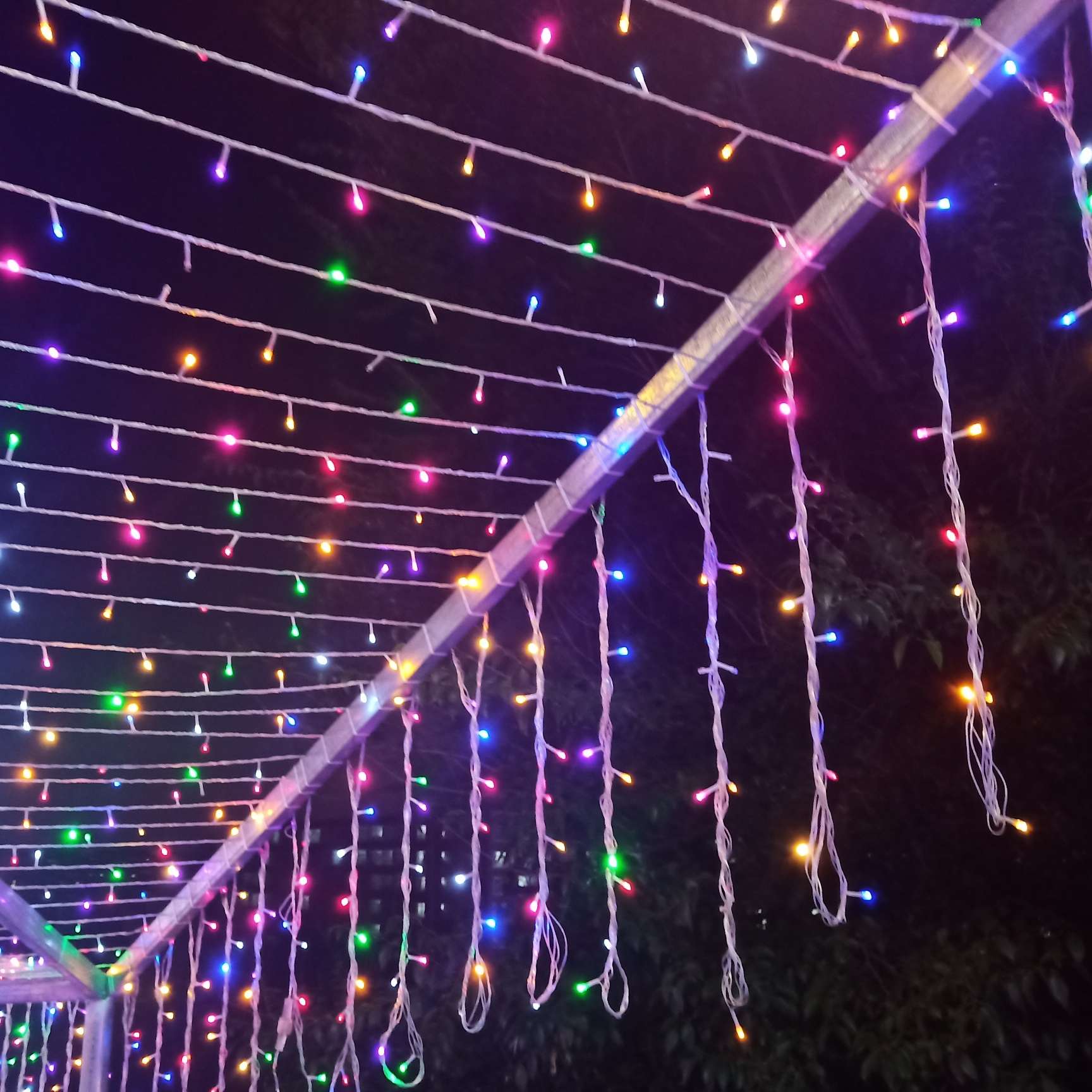 秋月悬，光露湿