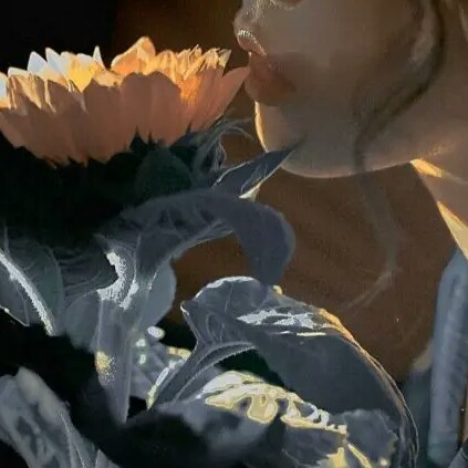 那个不为人知的故事