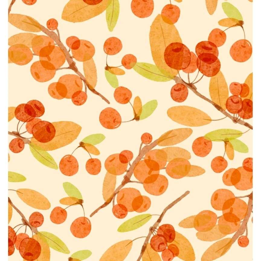 影帝他妹三岁半