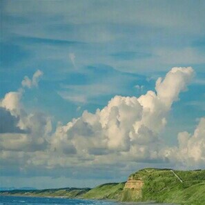 曲尽星河稀✨的专辑