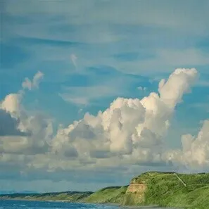 曲尽星河稀✨的专辑