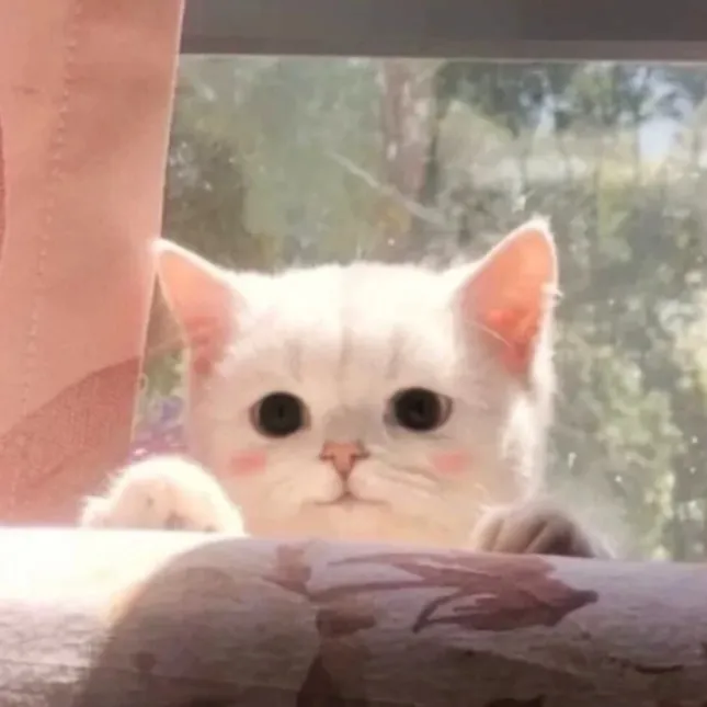 温情