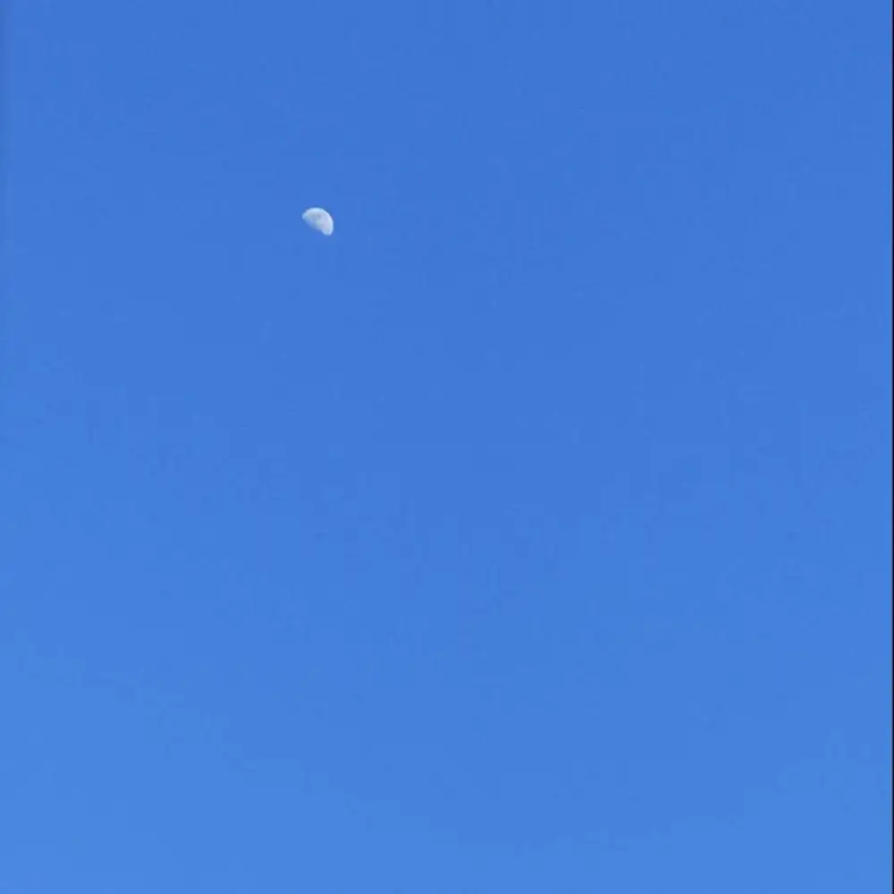 青春恋歌