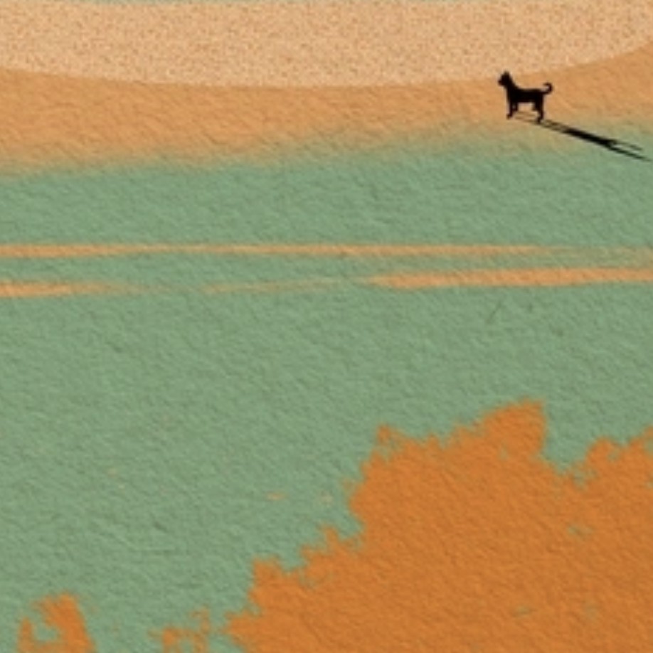 《我的阿勒泰》