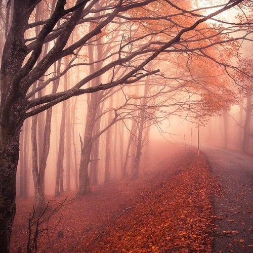 令人心疼的句子