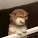 清醒