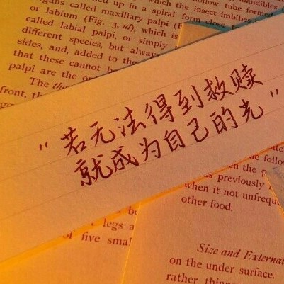 记住我就好了 忘记了也没关系.