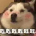 嘿嘿嘿嘿嘿嘿