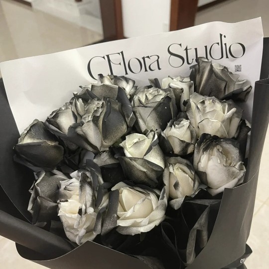 此生有你，乃吾之荣幸