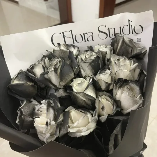 此生有你，乃吾之荣幸