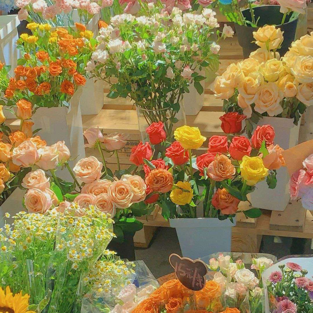 局外人。的专辑