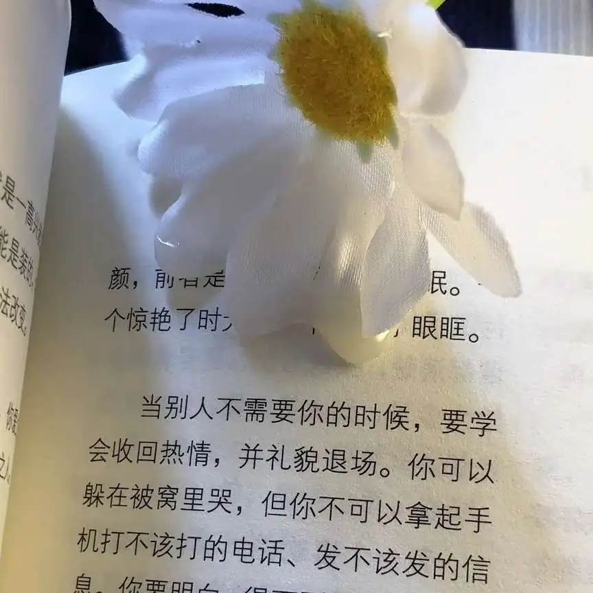 书苫的专辑