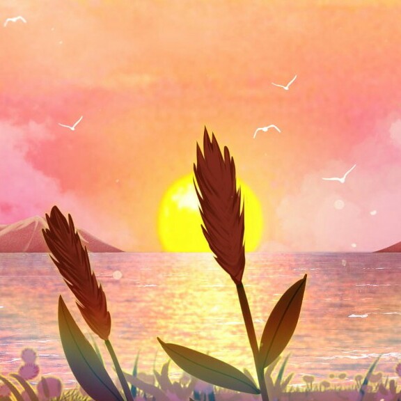 看了很舒服的句子！