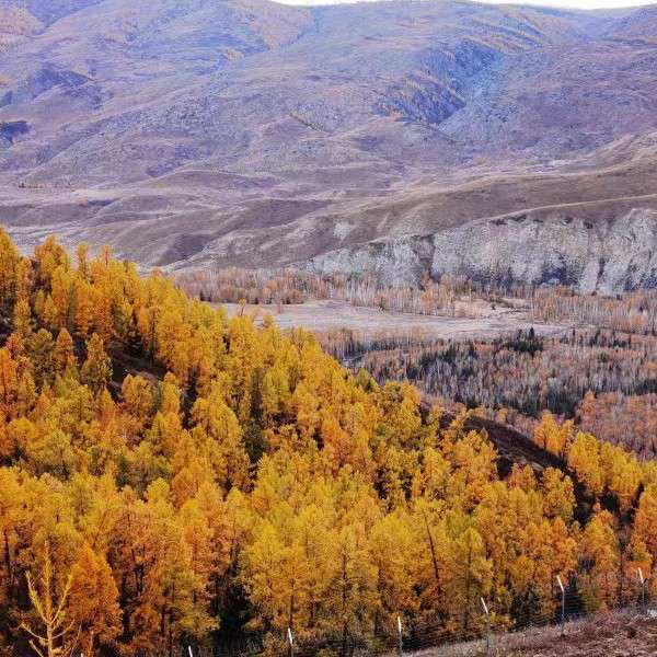 蓝天白云 怎么都好