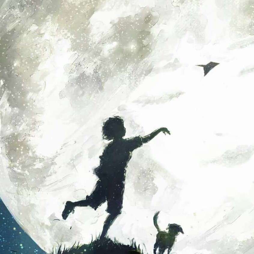 蝉鸣声响起🎼  愿我们好在盛夏