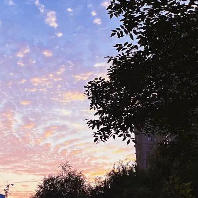 我希望我希望的希望有希望