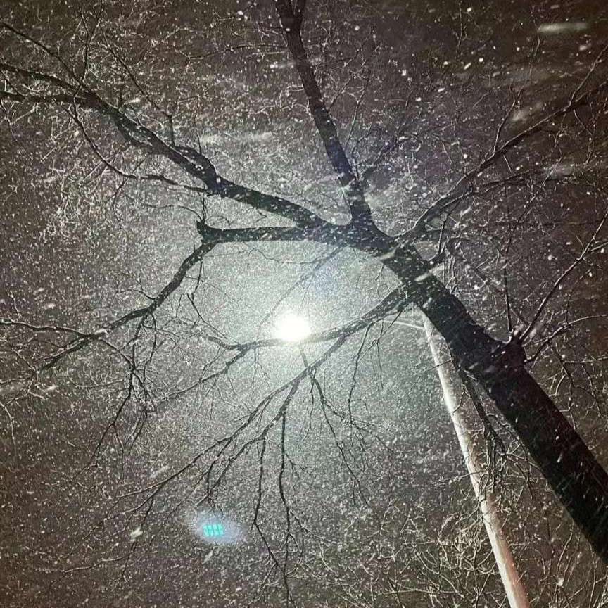 你可以回头，但不可以往回走，逆行是全责