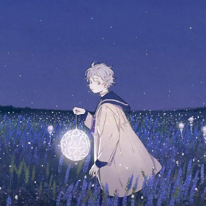 夏天有梅子味的晚风，两三颗啤酒味的星