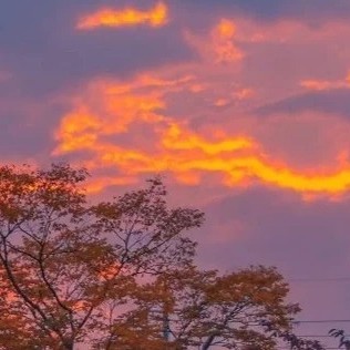 我永远会记得，长白山的雪，化了又积，生生不息