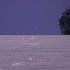 %春日绒雾-
