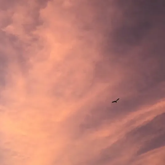 皖非皖