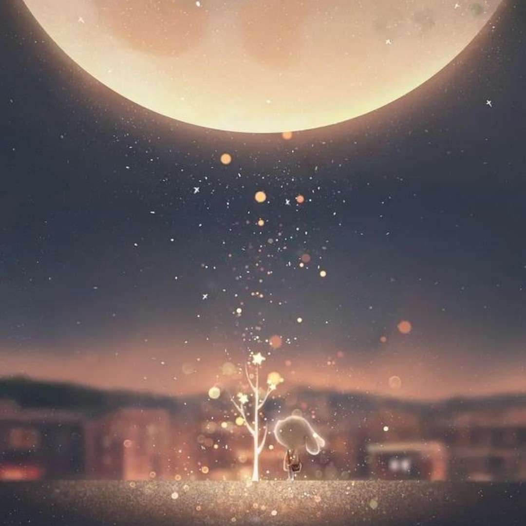 流绪微梦（浪漫）