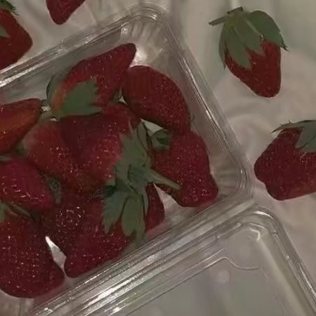 那些年的意难平