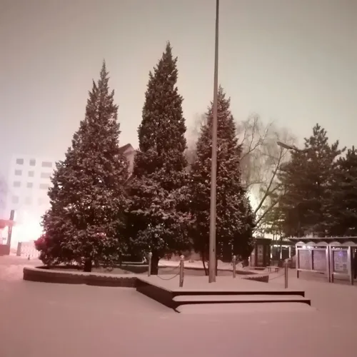 言情