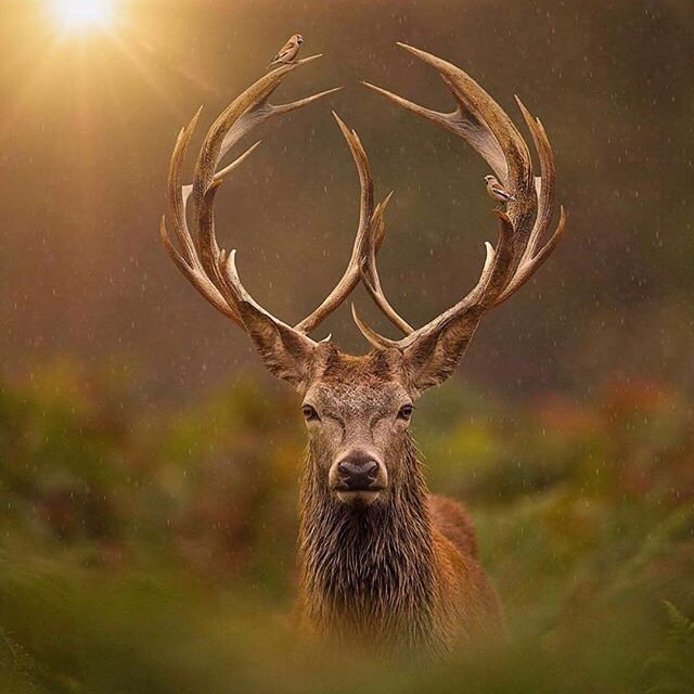 你喜欢大海，我爱过你