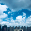 Y的专辑