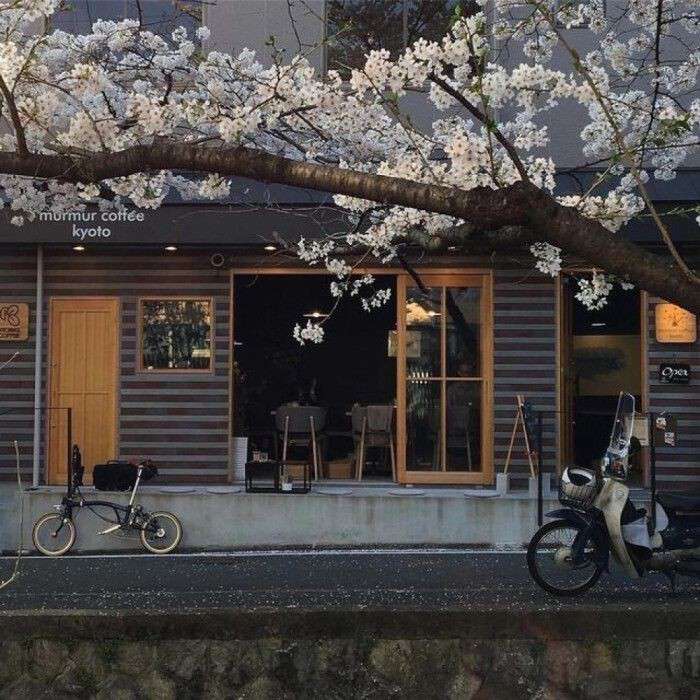 情感-那些看一眼就触动心弦的句子